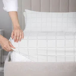SleepyCat White Checked Cotton 200TC Fitted King Bedsheet with 2 Pillow Covers-1.82mx1.82m-image-34