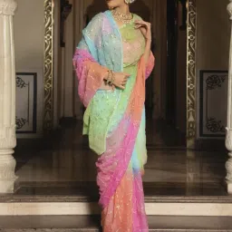 Calmna Multi-Color Multisky Gotapatti Pure Chiffon Saree image 1