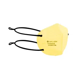 CARE VIEW CV1221H-Y-10 N95 Protective Mask (Pack of 10) image 2