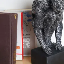 Zart Black Figurine Showpiece-picture-29