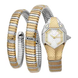 JUST CAVALLI JC1L168M0075 Analog Watch for Women image 1