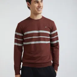 ColorPlus Brown Cotton Tailored Fit Striped Sweatshirt-picture-34