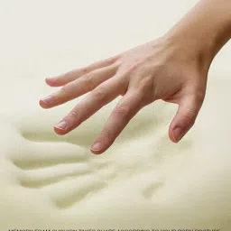 Elegant Beige Memory Foam Slim Full Active Back Support Car Pillow image 3