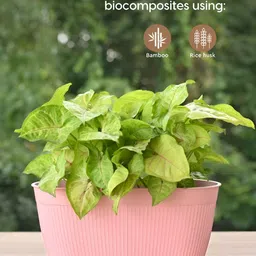 eha Set Of 2Pink Textured PlantersPot image 2