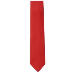 Van Heusen Red Solid Tie image 2