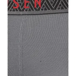 Van Heusen Grey Trunks image 4