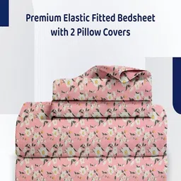 GADDA CO White 250 TC King Bedsheet with 2 Pillow Covers image 2