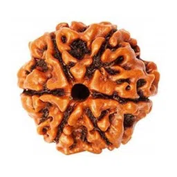 RAVIOUR LIFESTYLE Unisex 5 Mukhi Rudraksha Beads Spherical Pendants image 1