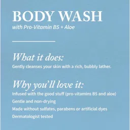 Bath & Body Works Into The Night Body Wash image 3