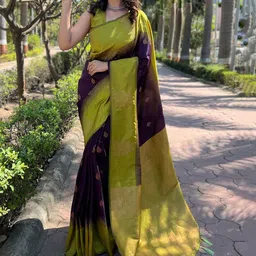 Parampara Ethnic Ethnic Motif Woven Design Zari Pure Silk Banarasi Saree-image-66