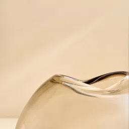 Home Centre Botanica Flufois Transparent Glossy Glass Fluid Flower Vase image 2