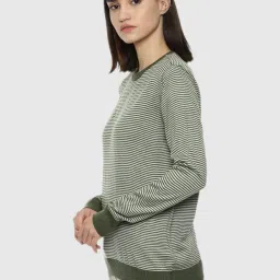 Van Heusen Green Stripes Print Sweater image 3