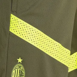 Puma Olive Regular Fit Striped Shorts image 5