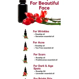 Park Daniel Set Of 2 100% Pure & Natural Rosehip & Castor Oil - 100 ml Each image 2