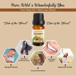 ELIXIR OF THE FOREST Set Of 3 Organic Cinnamon Essential Oil - 15 ml Each image 2
