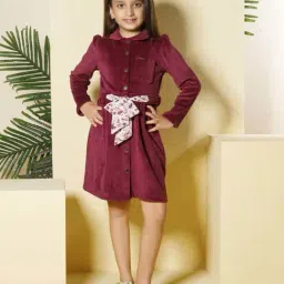 Peppermint Kids Maroon Velvet Regular Fit 1 Dress-image-51