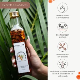 Dromen & Co Seabuckthorn Brew Oil - 250 ml image 2