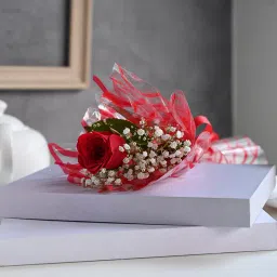 Dreamy Flowery Plushie Duo image 3