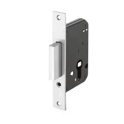 GEZE Dead Lock With Fixing Screws, Size 55 mm, Stainless Steel Front and Strike Plate with Brass Bolt and SS Finish, 8115207-image-61