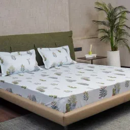 Urban Space Serene Blue Cotton 200 TC King Size Bedsheet With Pillow Covers-image-96