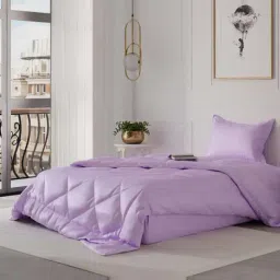 Stoa Paris Lilac Polyester 150 TC Date Night Single Comforter-image-59