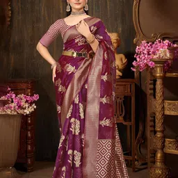 Aagiri Woven Design Zari Organza Banarasi Saree-picture-21