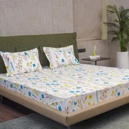 Urban Space Serene Blue Cotton 200 TC King Size Bedsheet With Pillow Covers-image-69