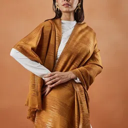 Pashmoda Women Abstract Woven Design Shawl image 3