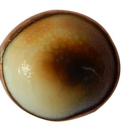 RAVIOUR LIFESTYLE Circular Pendants image 2