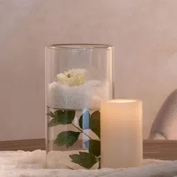 IAAH Transparent Voir Decorative Glass Vase-image-44