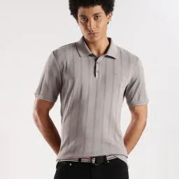 Calvin Klein Jeans Grey Cotton Regular Fit Striped Polo T-Shirt-picture-44