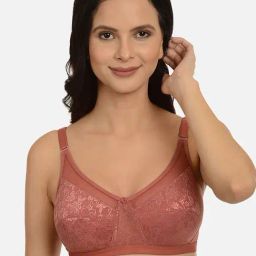 Mod & Shy Brown Non Wired Non Padded Minimizer Bra-picture-39