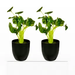 Dekorly Black Plastic Artificial Flowers & Plants With Pot image 2