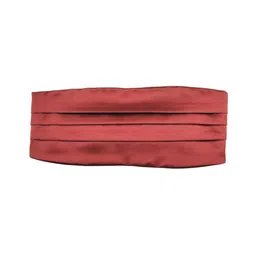 The Tie Hub Men Bow Tie image 5