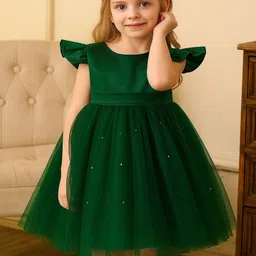 YK Ethnic Motifs Net Fit & Flare Dress-picture-55