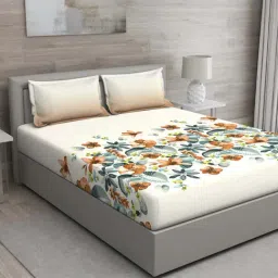 GM Off-White & Brown 100% Cotton 144 TC Queen Bedsheet Set-picture-11