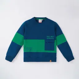 Ed-a-Mamma Kids Blue & Green Cotton Printed Full Sleeves Sweatshirt-picture-40
