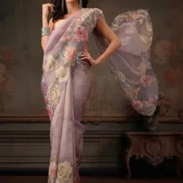 Silk Land Kota Doria Tissue Silk Printed Saree With Cutwork Border-picture-12