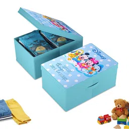 HOMESTIC Blue Set of 2 Regular Multi-Utility Organisers-picture-47