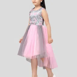 Aarika Kids Pink & Grey Printed Frock Dress image 3