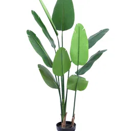 Elemntl Green 1 Pieces Palm With Pot image 2