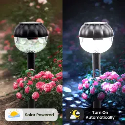 Homehop HHSOL-11 Acrylonitrile Butadiene Styrene 220 gm Multicolor Decoration Lamp image 2