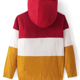 Pine kids Knitted Full Sleeves Hooded Front Open Colour Block Designed Sweater- Multicolor image 2