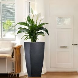 Go Hooked Black Unbreakable Matrix Planters-picture-21
