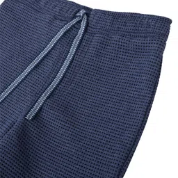 Anthrilo Cotton Terry Pin Checked Shorts - Blue image 5