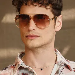 French Accent Men Aviator Sunglasses with Polarised Lens SW25_FASG1101 image 4