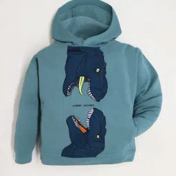 Cherry Crumble By Nitt Hyman Kids Teal Embroidered Full Sleeves Hoodie image 3