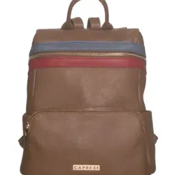 Caprese Brigetta Brown & Red Color Block Backpack-picture-26
