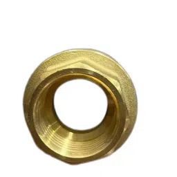 EVIC Brass Non Return Valve 25 mm (1 inch) Size image 2