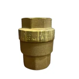 EVIC Brass Non Return Valve 25 mm (1 inch) Size image 3